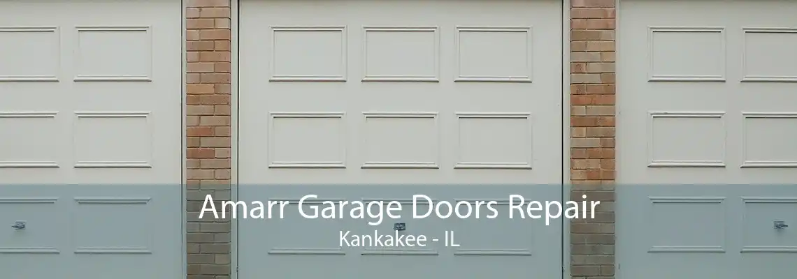 Amarr Garage Doors Repair Kankakee - IL