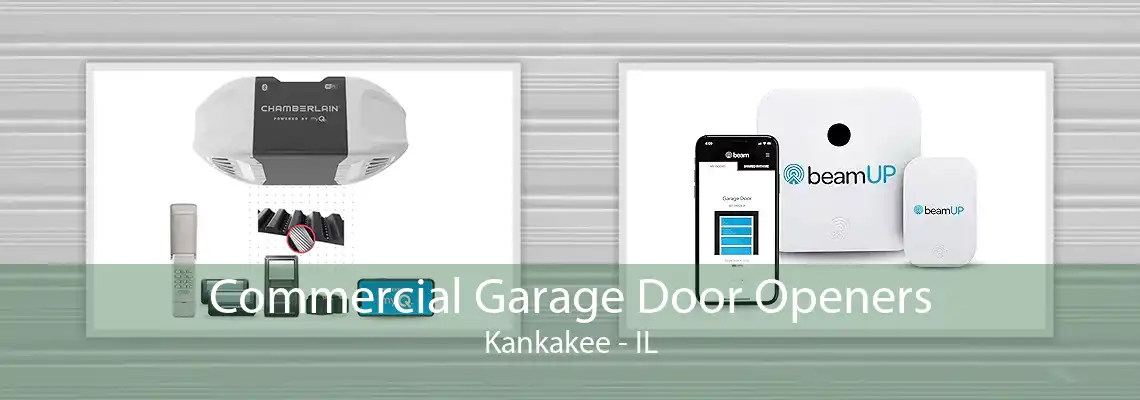 Commercial Garage Door Openers Kankakee - IL