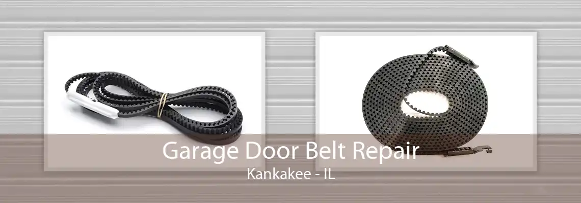 Garage Door Belt Repair Kankakee - IL