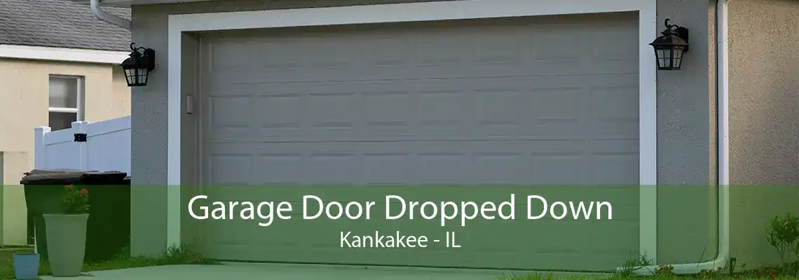 Garage Door Dropped Down Kankakee - IL