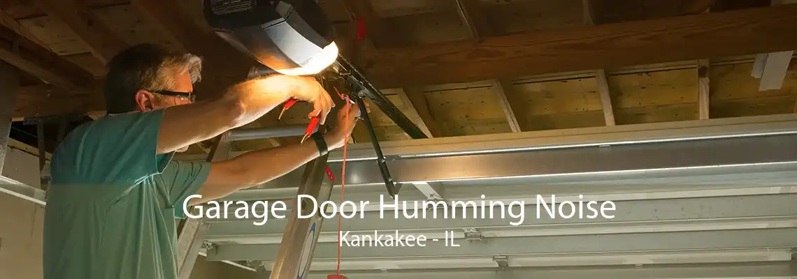 Garage Door Humming Noise Kankakee - IL