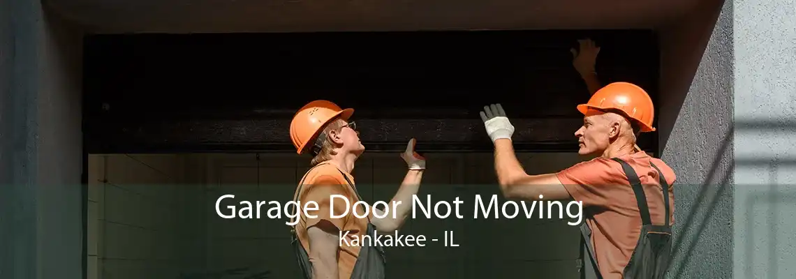 Garage Door Not Moving Kankakee - IL