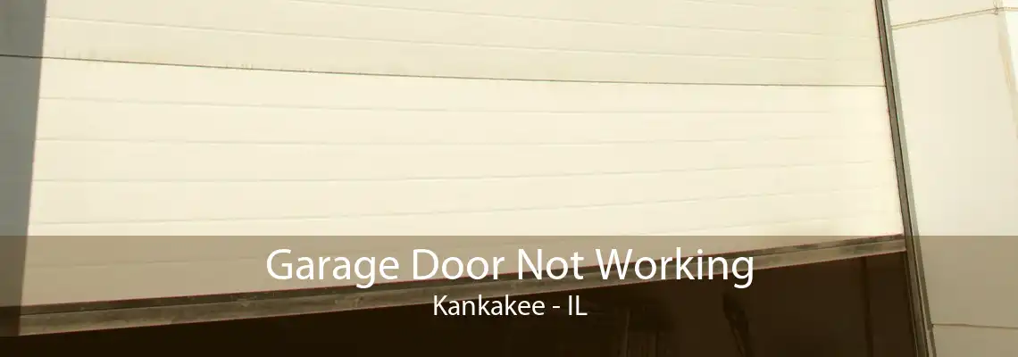 Garage Door Not Working Kankakee - IL