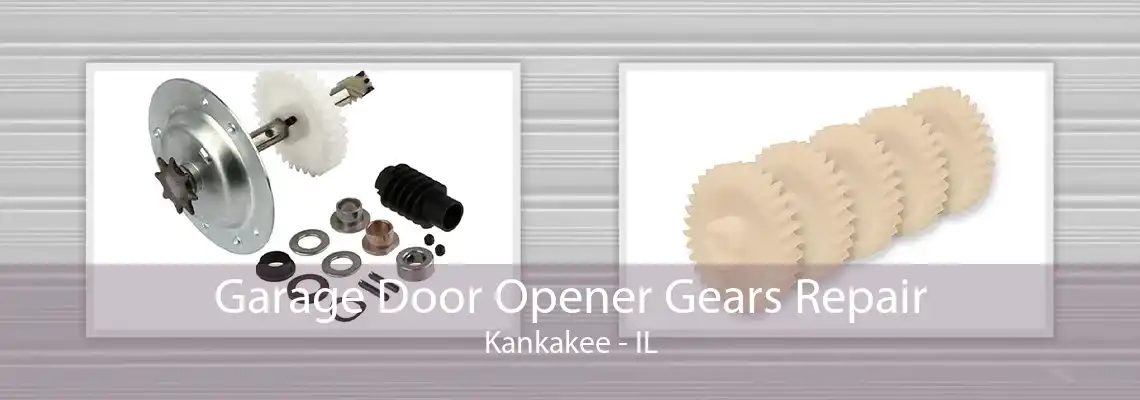 Garage Door Opener Gears Repair Kankakee - IL