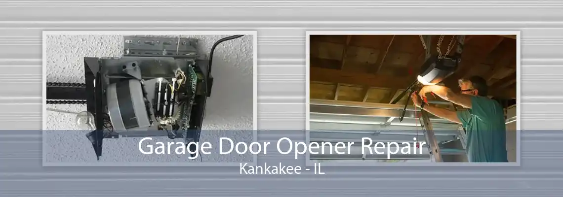 Garage Door Opener Repair Kankakee - IL