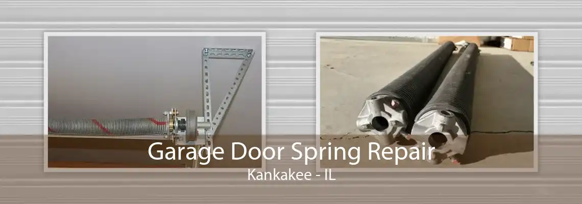 Garage Door Spring Repair Kankakee - IL