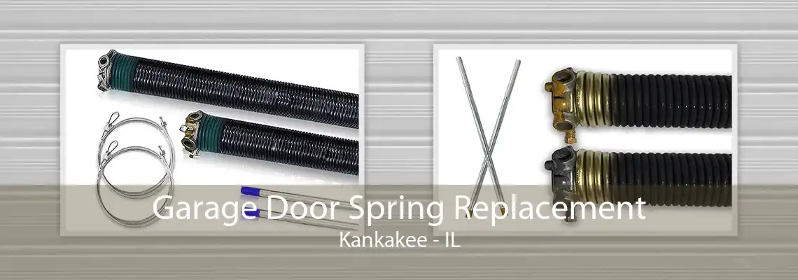 Garage Door Spring Replacement Kankakee - IL