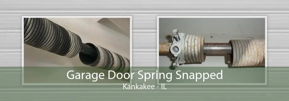 Garage Door Spring Snapped Kankakee - IL