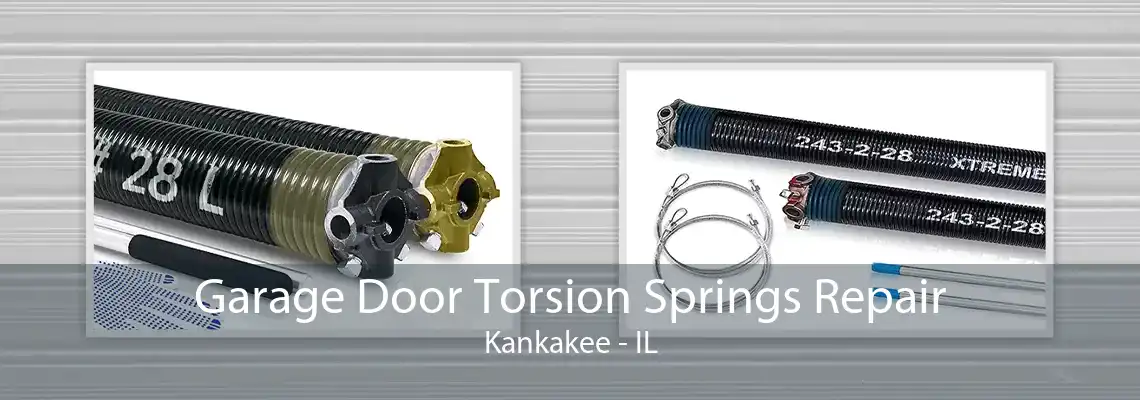 Garage Door Torsion Springs Repair Kankakee - IL