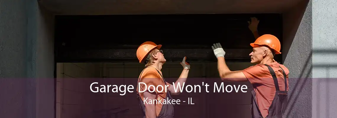 Garage Door Won't Move Kankakee - IL