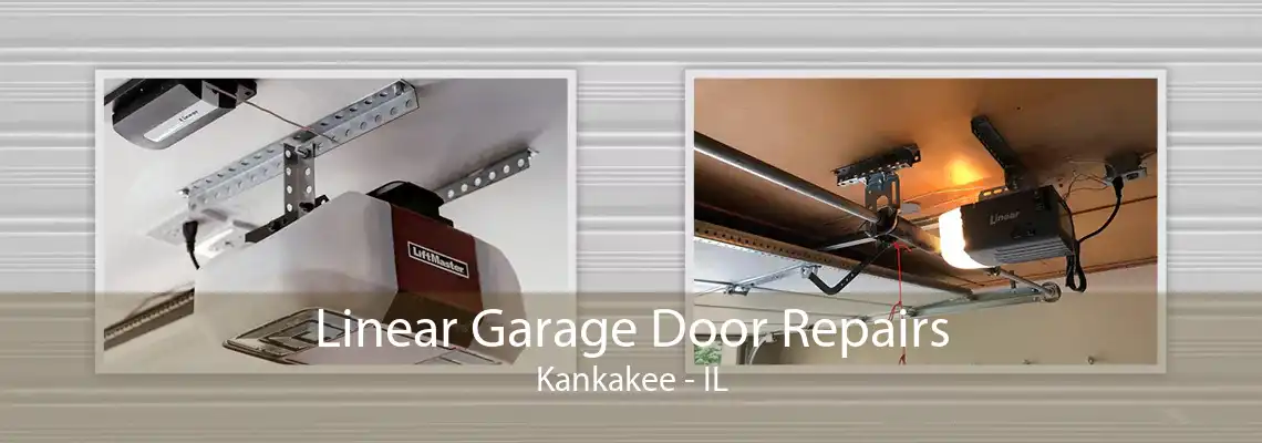 Linear Garage Door Repairs Kankakee - IL