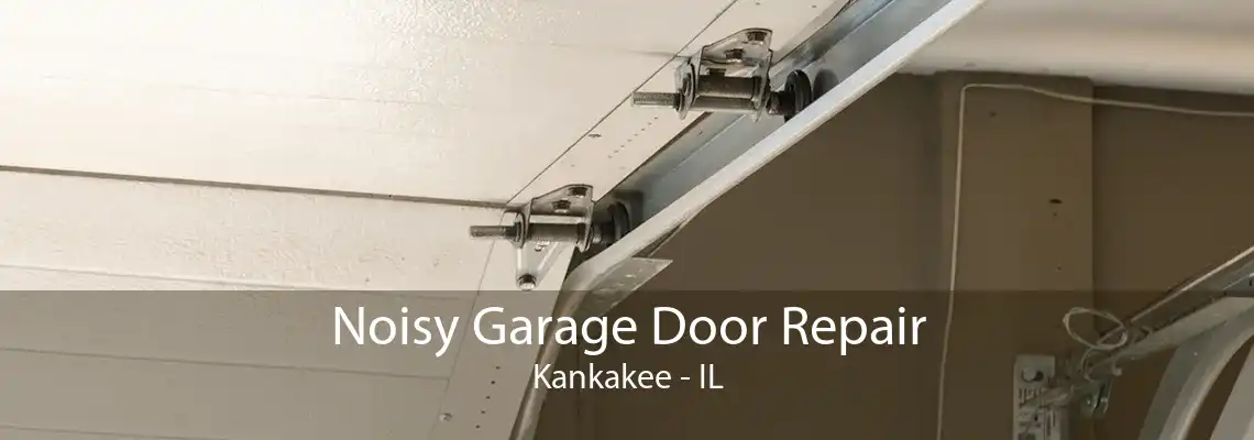 Noisy Garage Door Repair Kankakee - IL