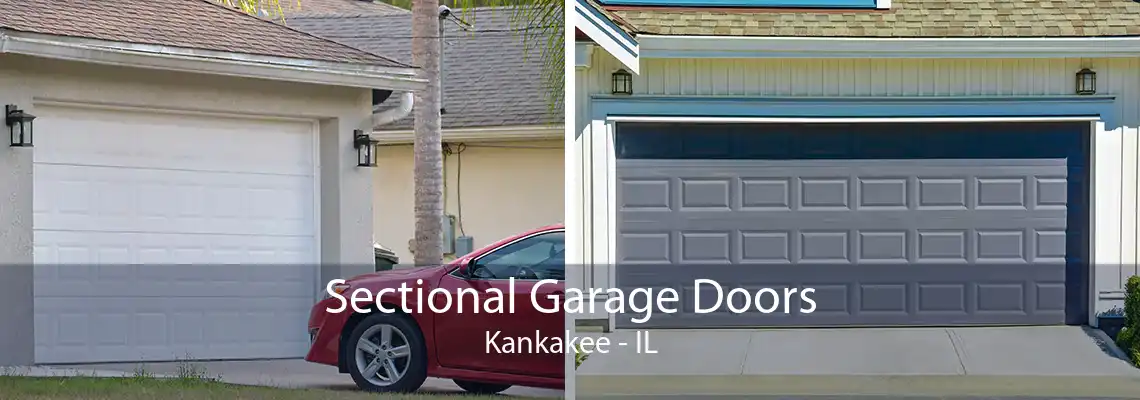 Sectional Garage Doors Kankakee - IL